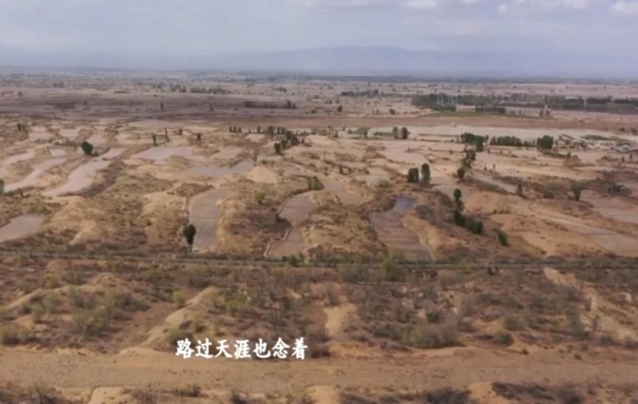 荒寂的土地上，风沙刻下岁月的痕迹，却挡不住心底对故土的眷恋；金黄的果实堆满竹篮，