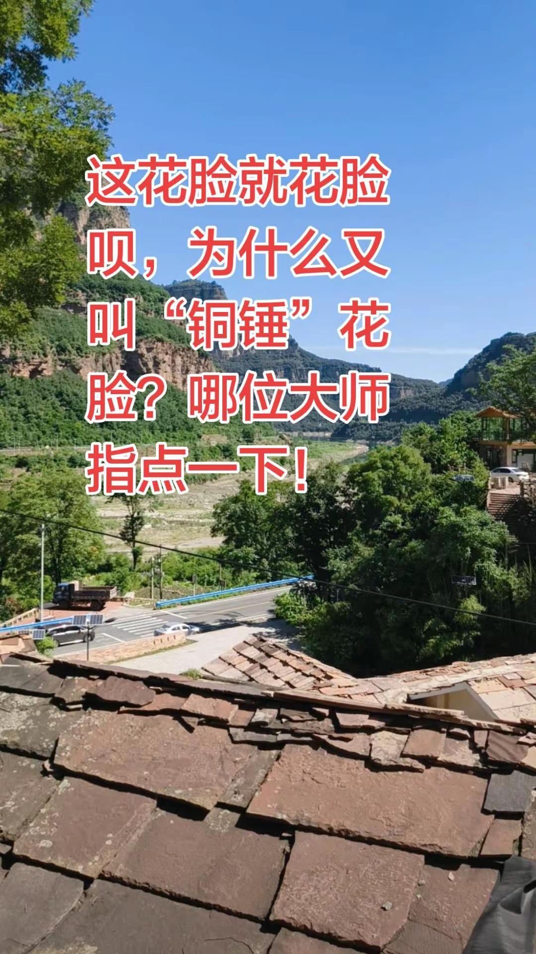 这花脸就花脸呗，为什么又叫“铜锤”花脸？哪位大师指点一下！1. 铜锤花脸（正净/