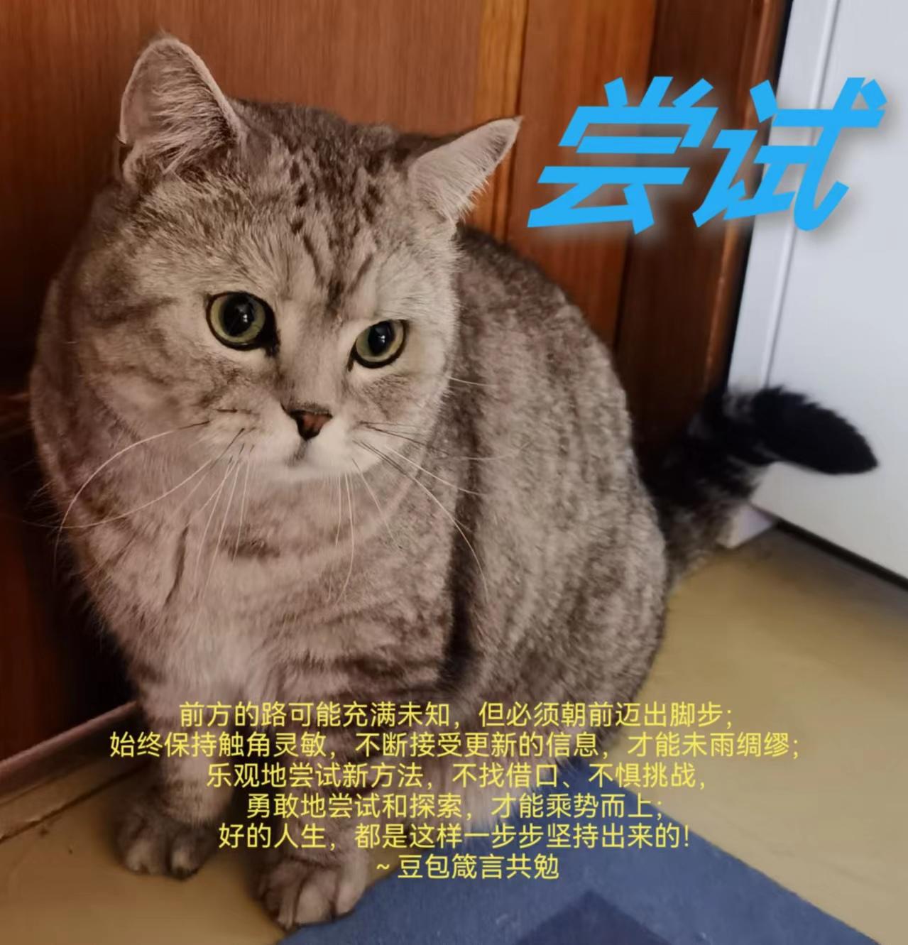 厚德载物•井底之蛙(2)
在认知的维度上，拓宽生命的疆域《易经》坤卦曰：“地势坤