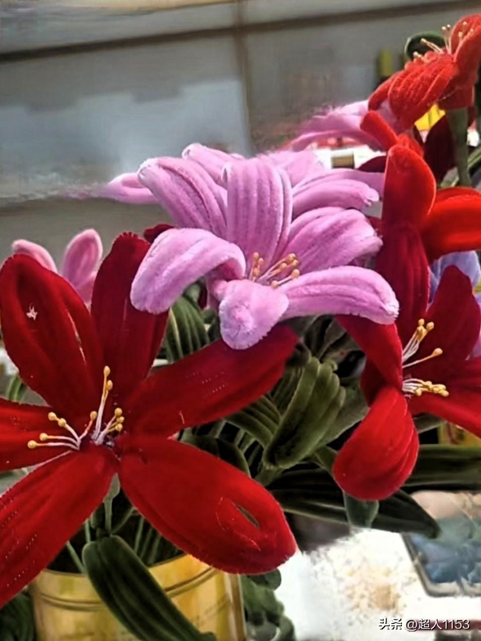 今天太开心了，
3月8日女神节，感谢好友们一起相聚。

非常感谢店长，
让我们聚