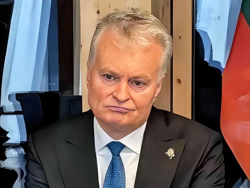 立陶宛议会外委会主席莫图扎斯说，台湾此前承诺，在代表处成立后，将在五年内在立陶宛