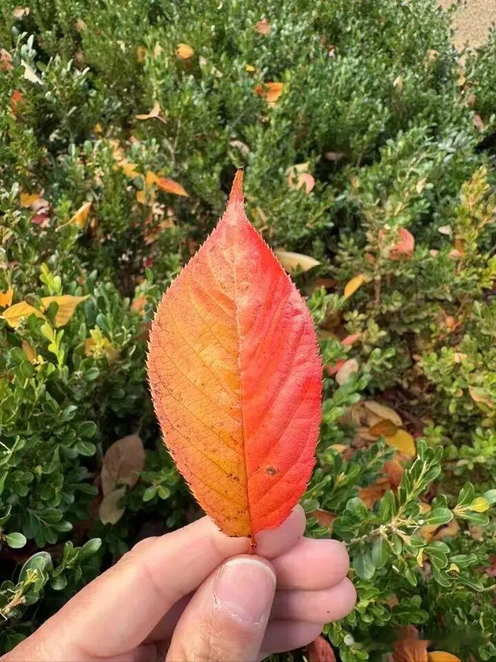 世界上最愚蠢的事情就是你舍不得吃，舍不得穿，我们要对自己好点， 要把钱和精力多放