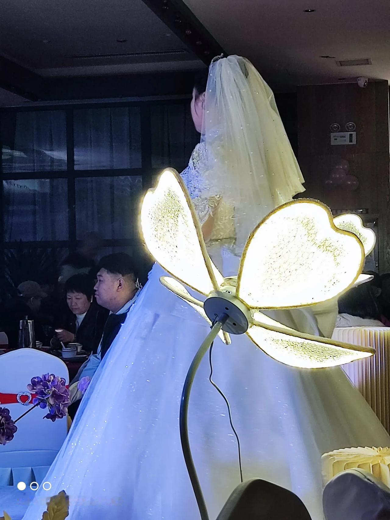 
这是一张非常满意的抓拍照。在一个朋友儿子的婚礼上，当大厅的顶灯暗下来以后，只有