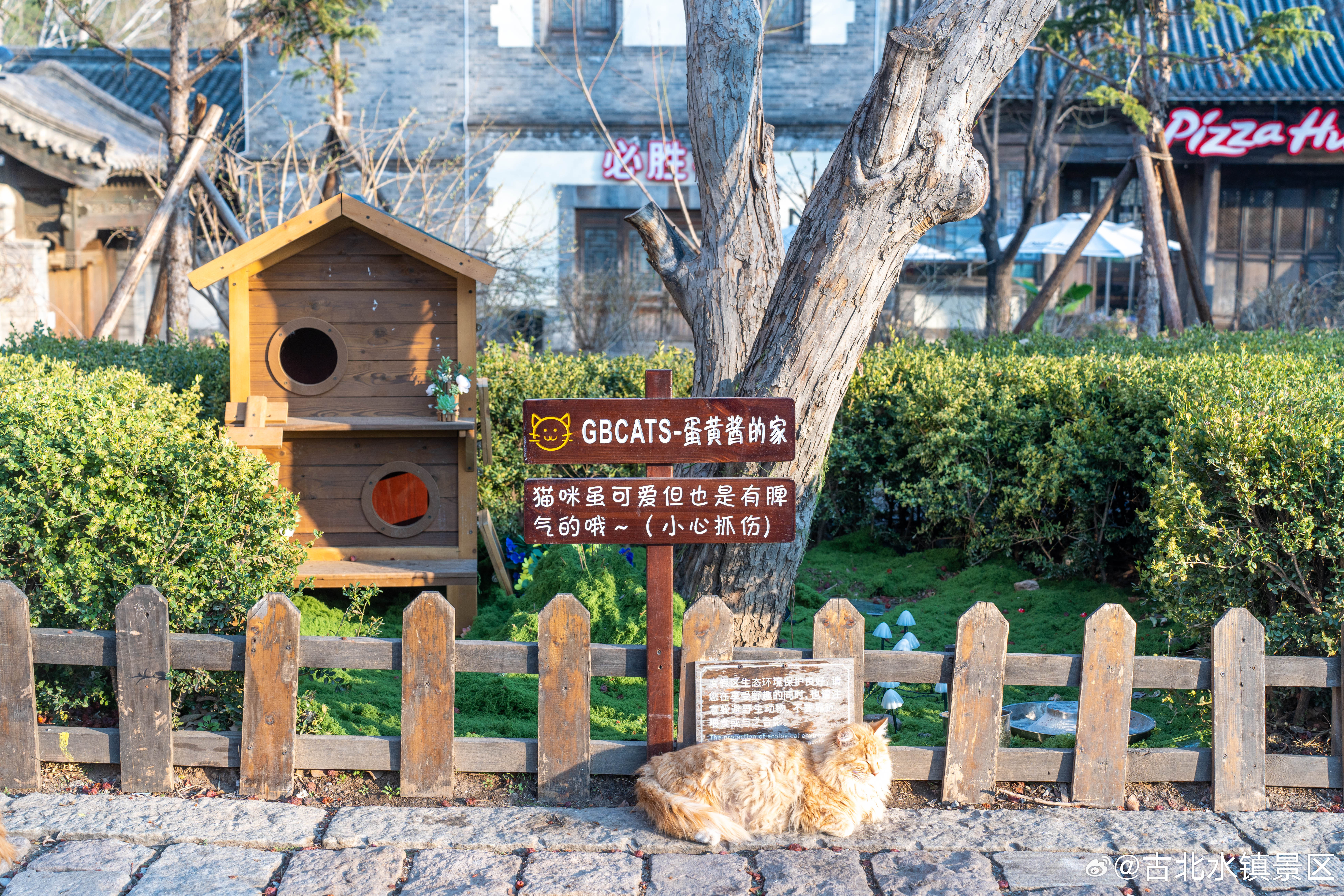 生活不一定每天都完美但每天都可以有一点小美好保持微笑，保持热爱早安，宝子们～#古