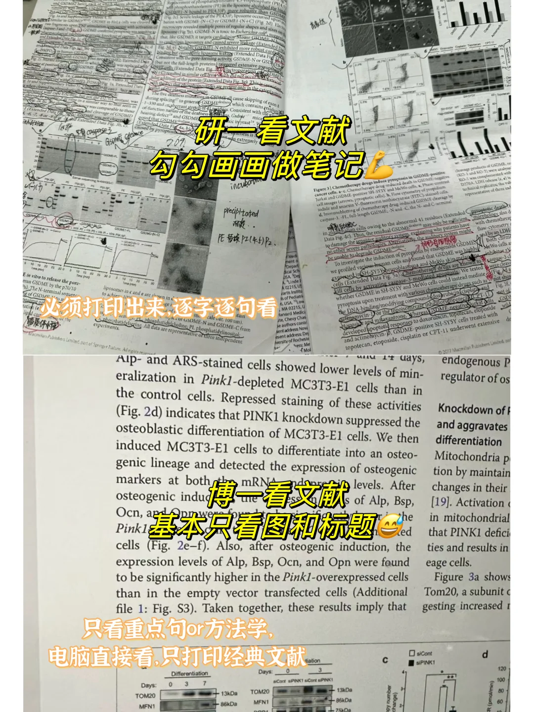 🌟如何快速了解一个领域的研究内容和进展❓