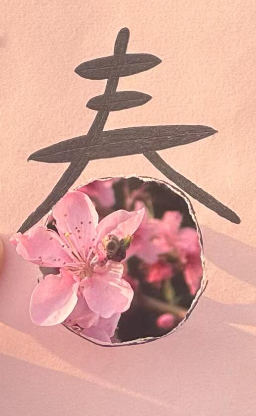 “青春拚”与“婴儿睡”。上周写作、备课，持续两晚只睡三四小时，昨日又上一天课，像