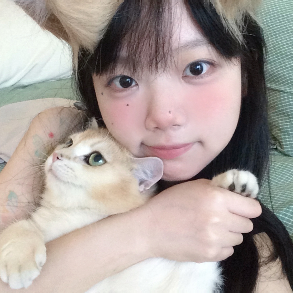 猪一则 