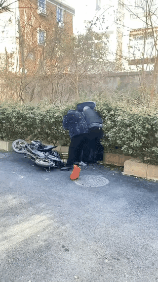 小区的一个垃圾桶旁
两位头发花白的老人
正揪着一个纸壳箱拉扯
黝黑的手上暴起青筋