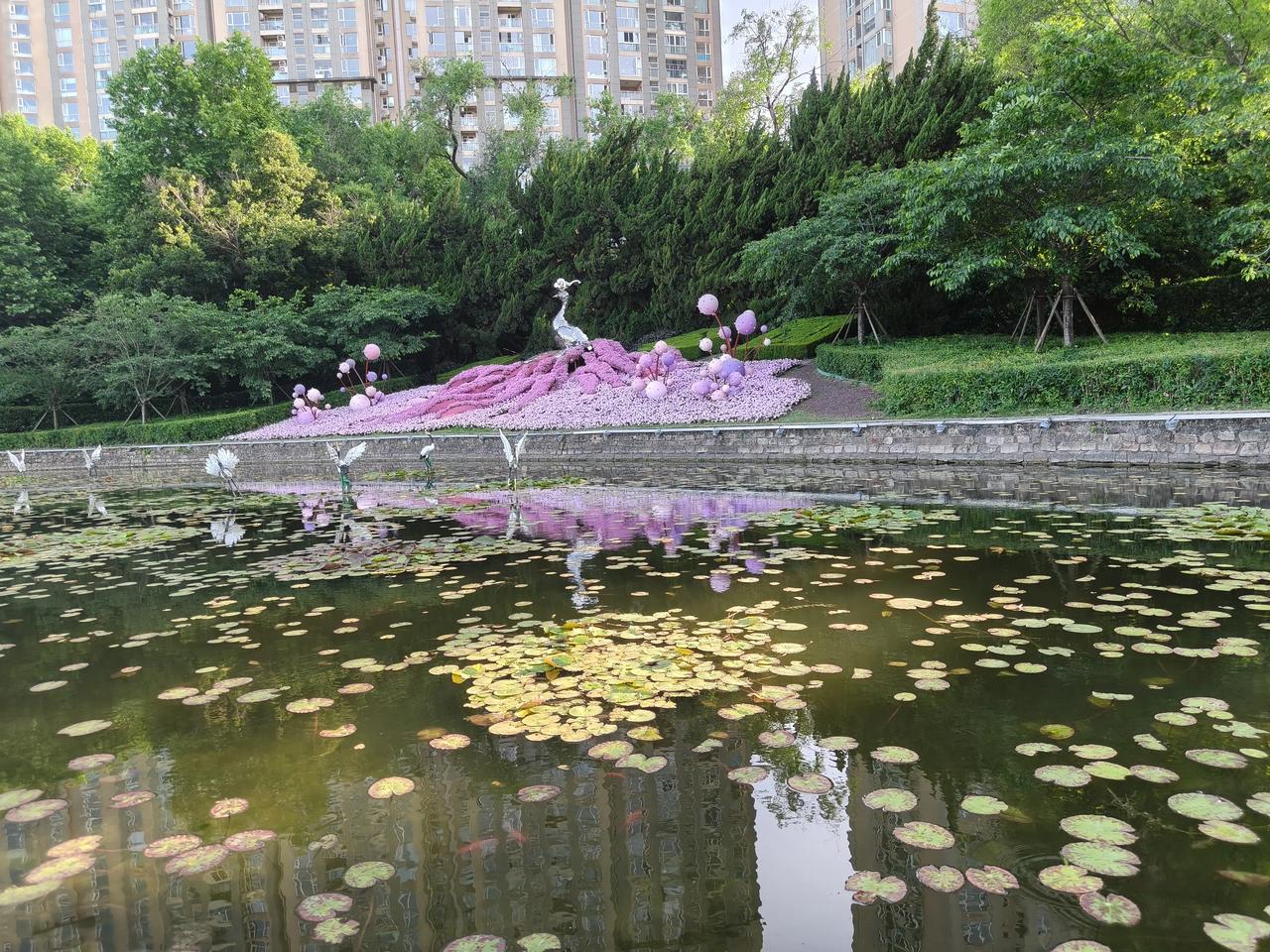 2026上海国际花卉节赏花🌸
实景图分享！
长宁区分会场——中山公园
