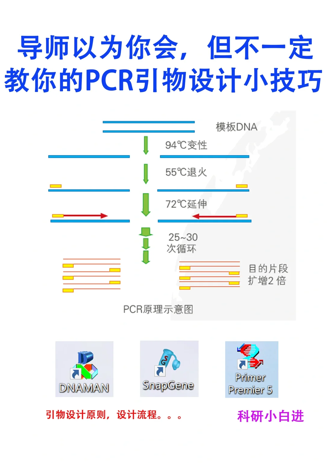 五分钟教会你PCR引物设计