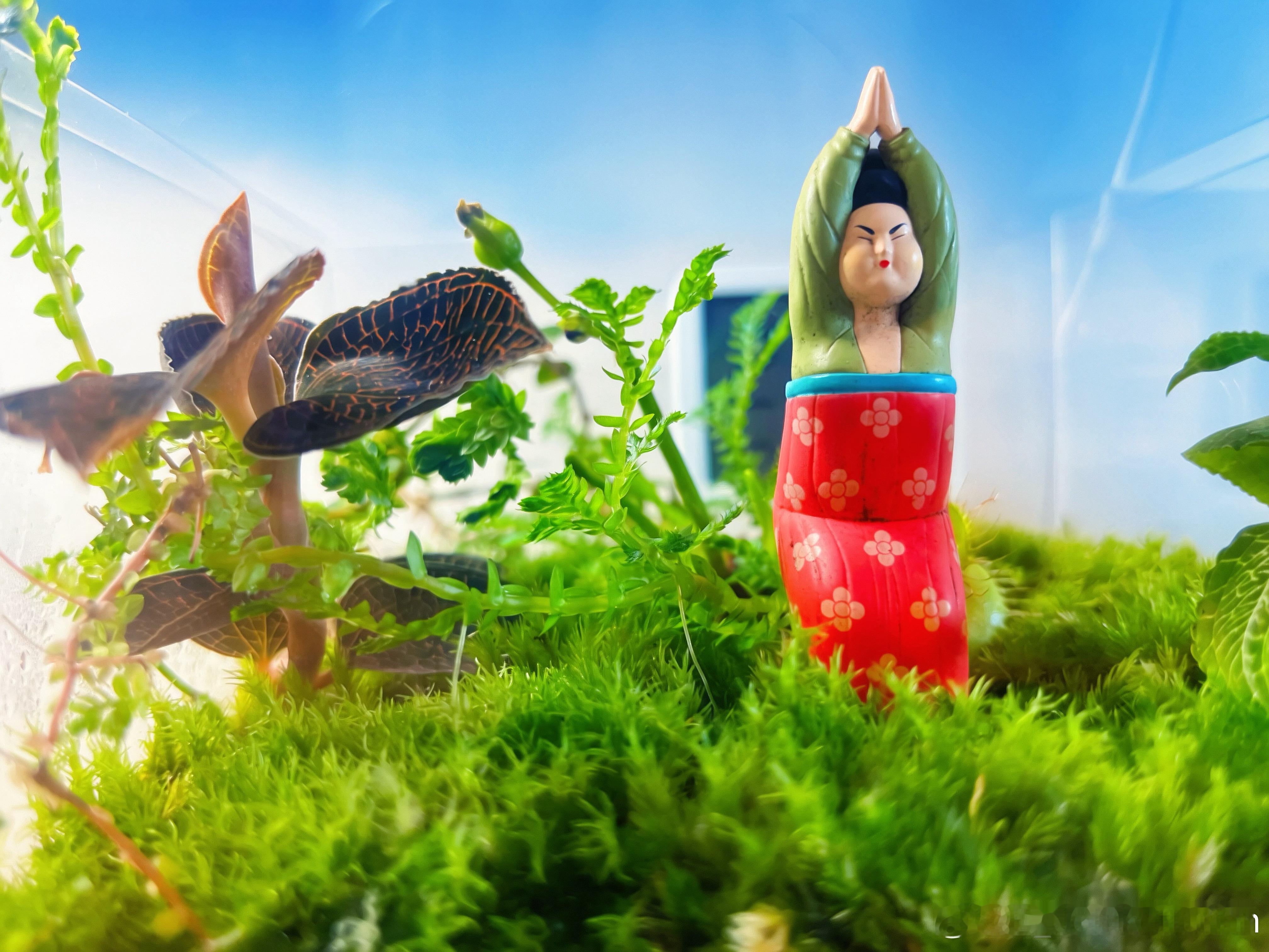 用我创造的春天来洗洗眼睛