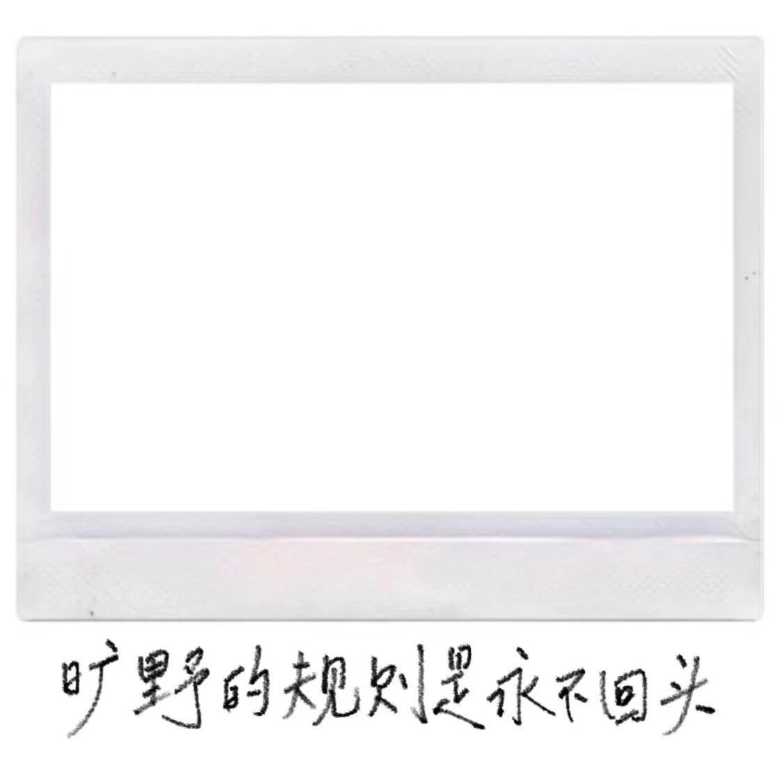 歌词拍立得素材 