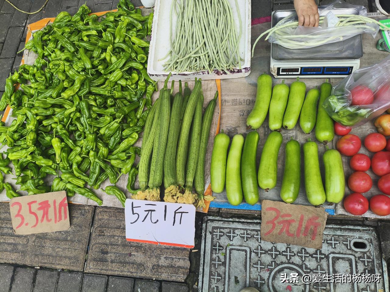 湖北应城，今天逛菜市场买了点辣椒和瓠子回来，做完卫生闲着无聊就想着把今天买的菜都