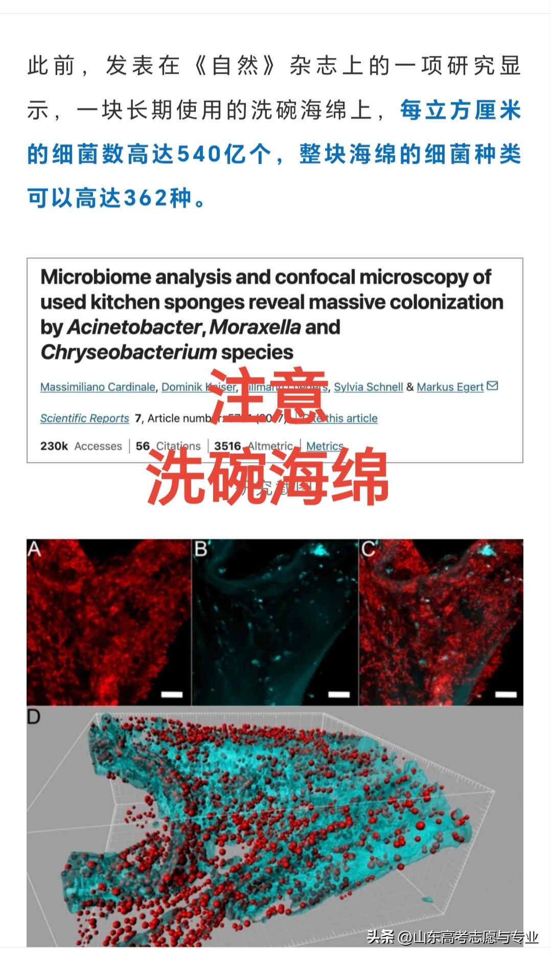 哎呀！不得了！家里最脏的东西可能是：洗碗海绵！有研究发现，一块使用了比较长时间的