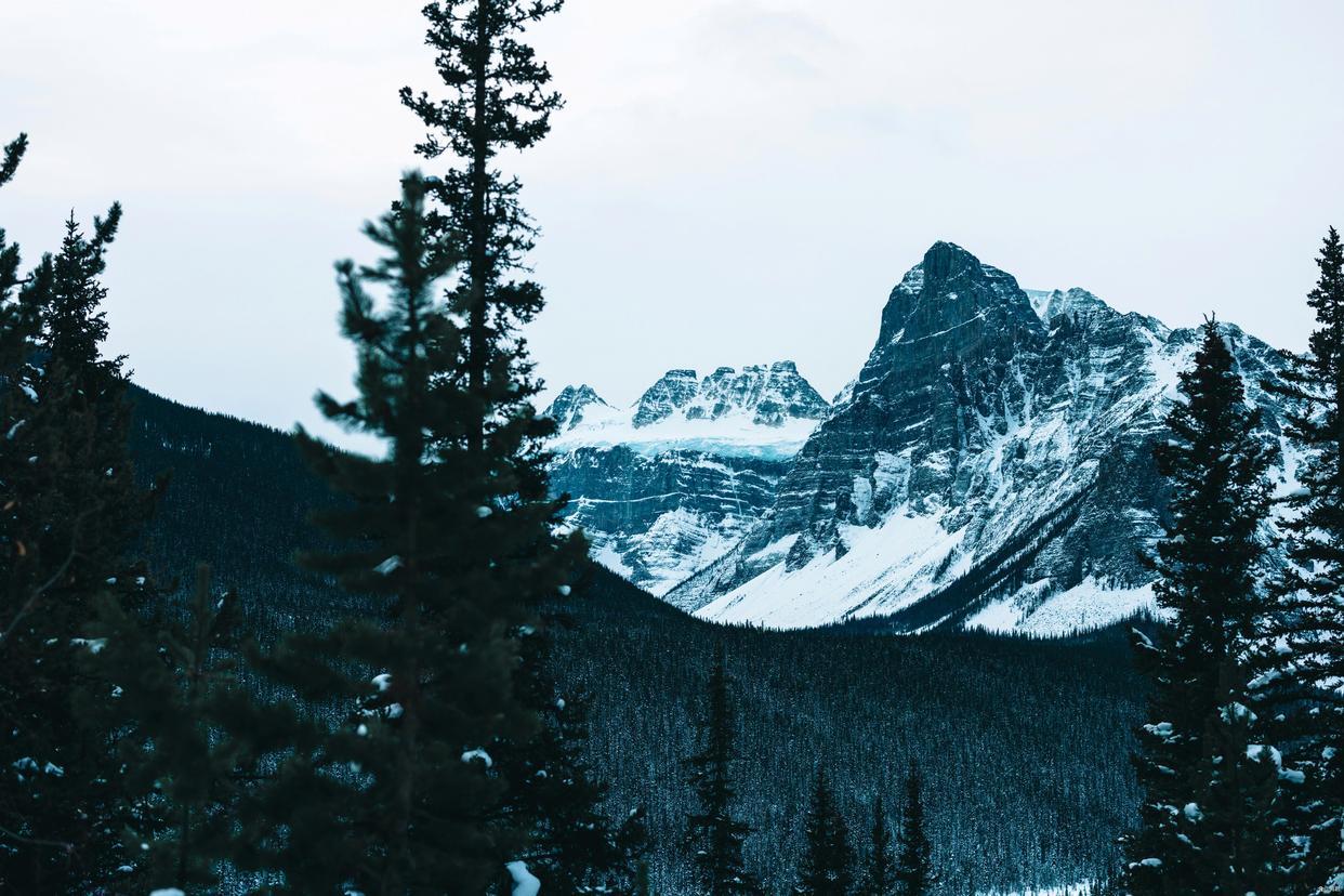 ＃人性会主动放弃得到的东西么？
   人生就是在不断的获取和放弃。很多人因为害怕