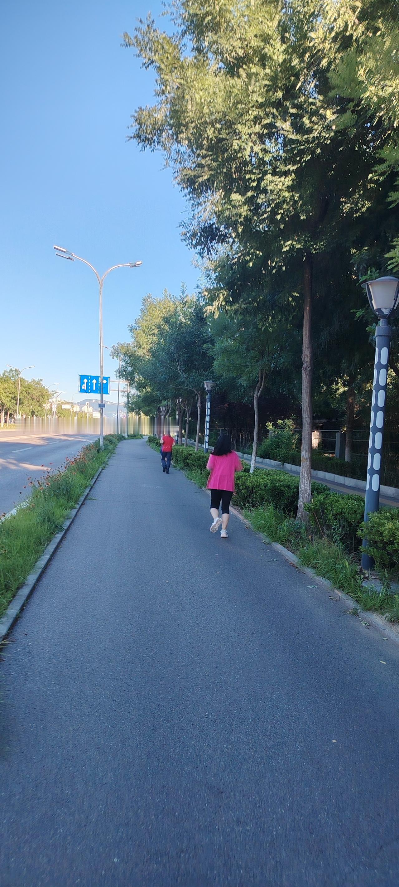 夏日生活打卡季岁月静好，幸福绵长