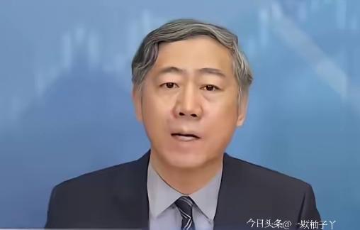 清华大学教授李稻葵近期关于农民养老金的发言，直接说到了大家心坎里。他直言，不能因