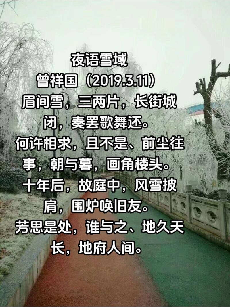 夜语雪域