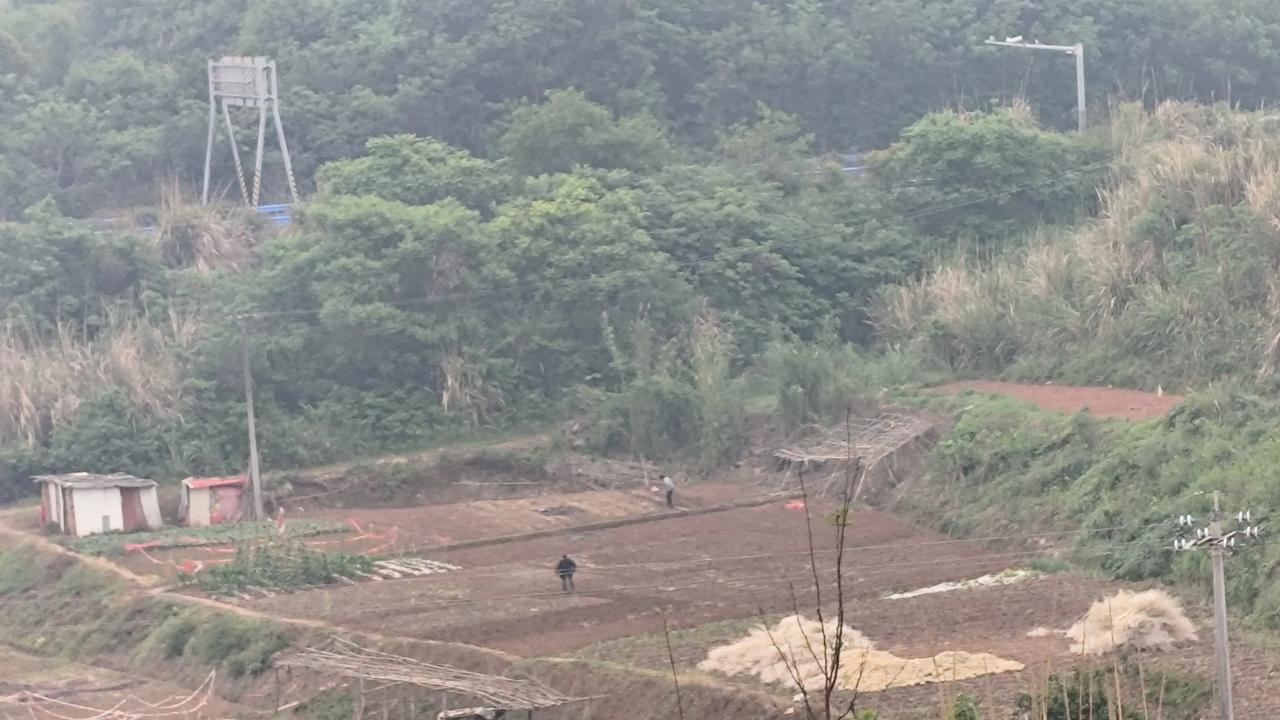 春日生活打卡季春日里的春耕生产开始啦！田地里到处都是忙碌的人们，他们种下希望，等