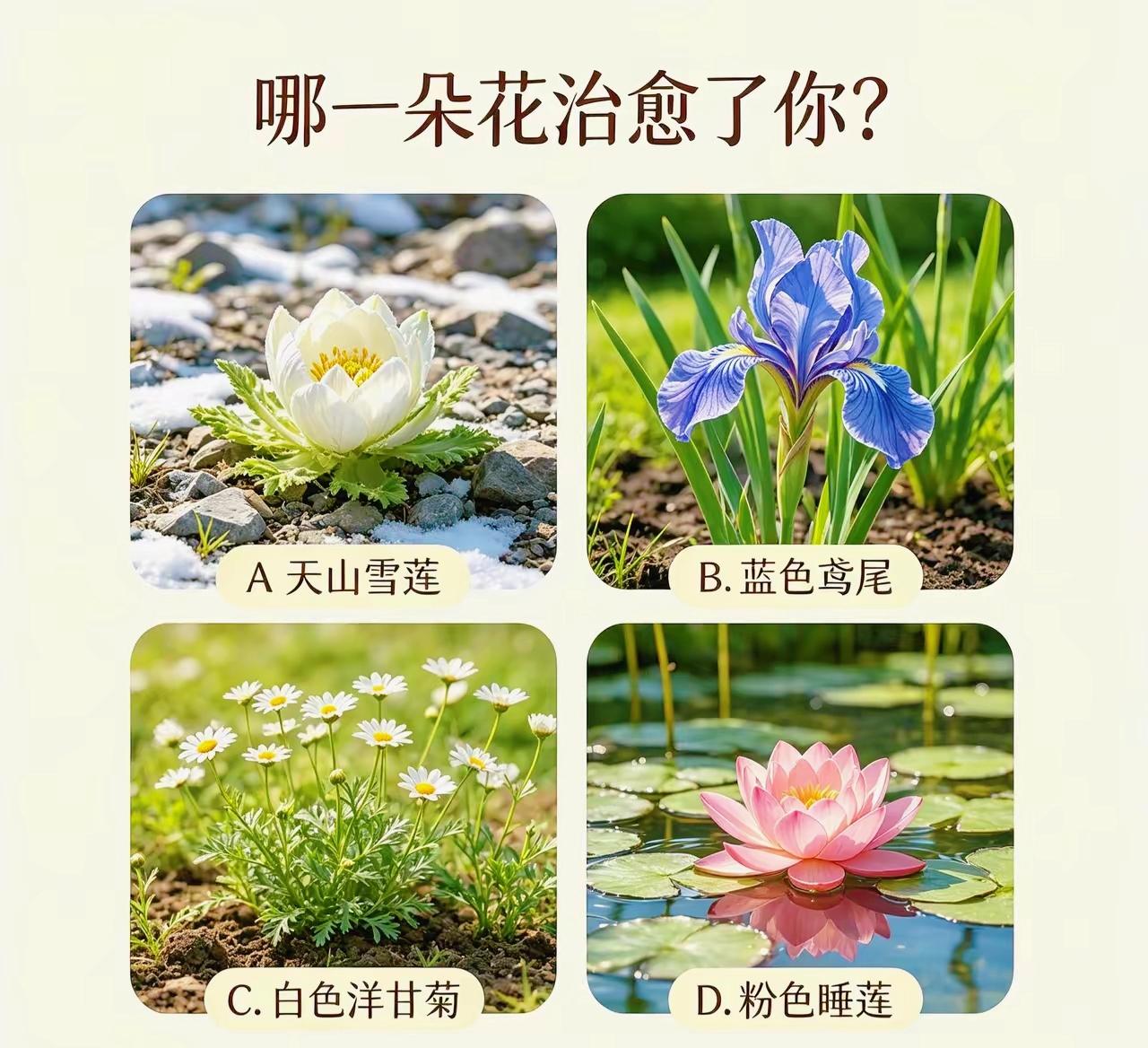 身心疲惫的时候，哪朵花可以治愈你，测出压在心底的心结走向

情感测试 心灵感悟
