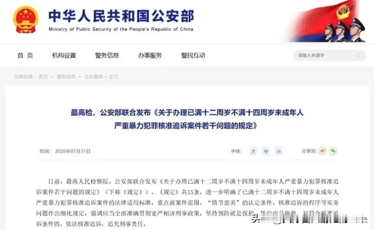 “年龄不是免罪金牌”！两高一部新规落地，低龄恶魔的“护身符”终于被撕碎

过去我