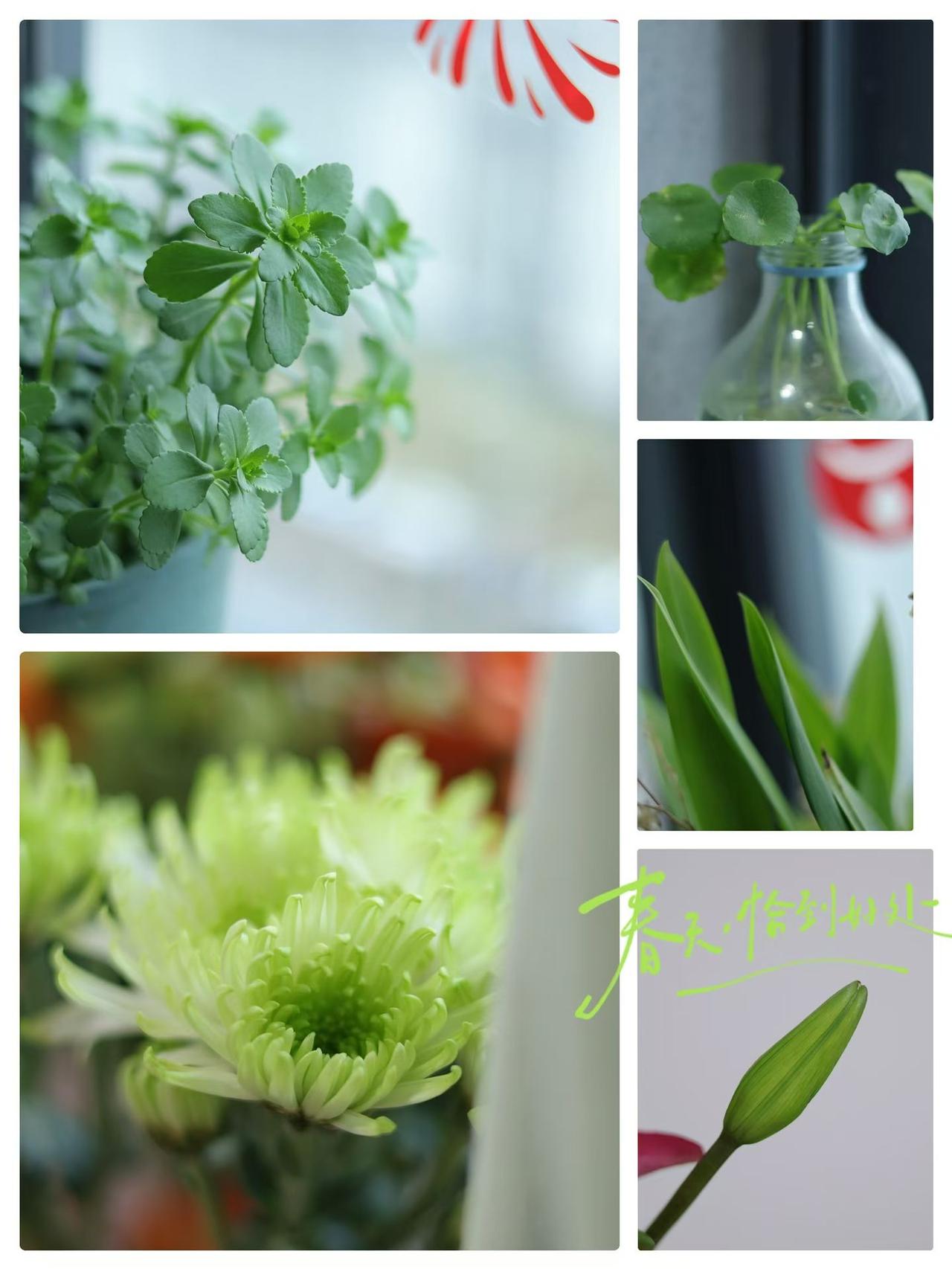 春日生活打卡季今天3月23号，走在路上能闻见一股淡淡的泥土味，潮乎乎的。天气预报