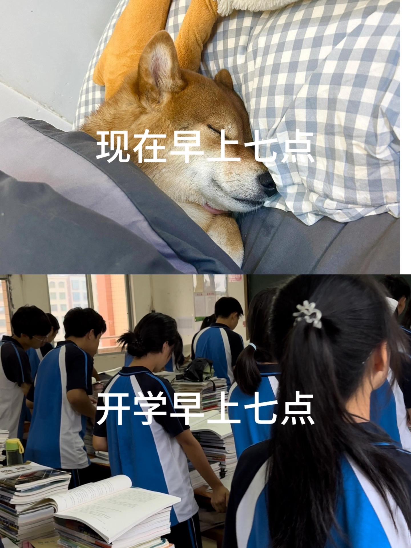 冷知识 还有几天开学