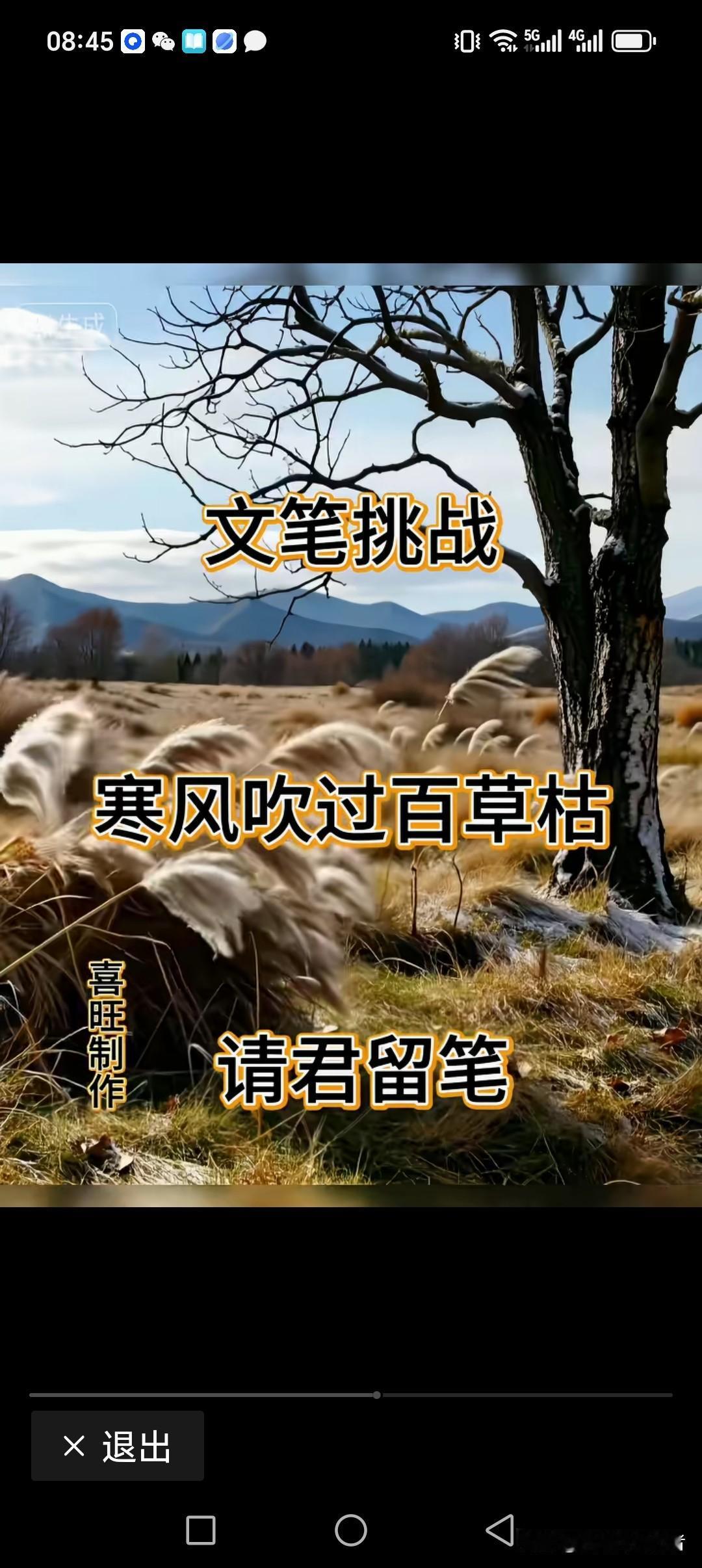 寒风吹过百草枯
暖流掠过万物苏