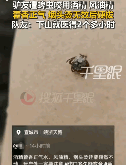 安徽宣城一座深山里，原本是徒步者心向往之的“天然氧吧”，谁料一场寻常登山，竟变成