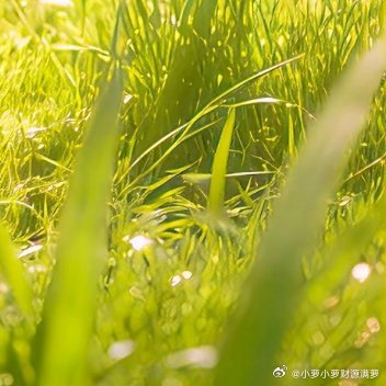 打开双手迎接能量满满的一天✨️💫吸引力法则：好念头必定有好结果命运是可以改变的