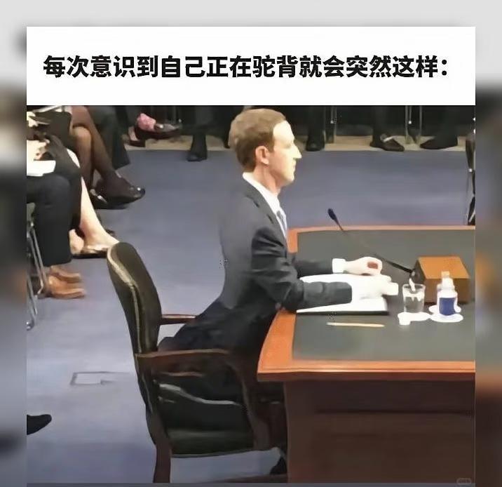 今日份快乐源泉
今天累坏了吧？快进来歇会儿，给你准备了超好笑的梗图合集！每一张都