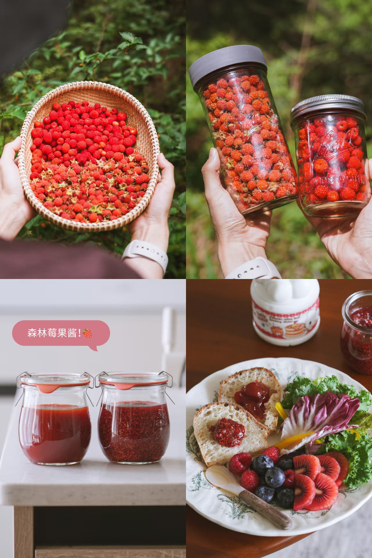 ₅̆̈ 月打野快乐♡熬一罐森林莓果酱