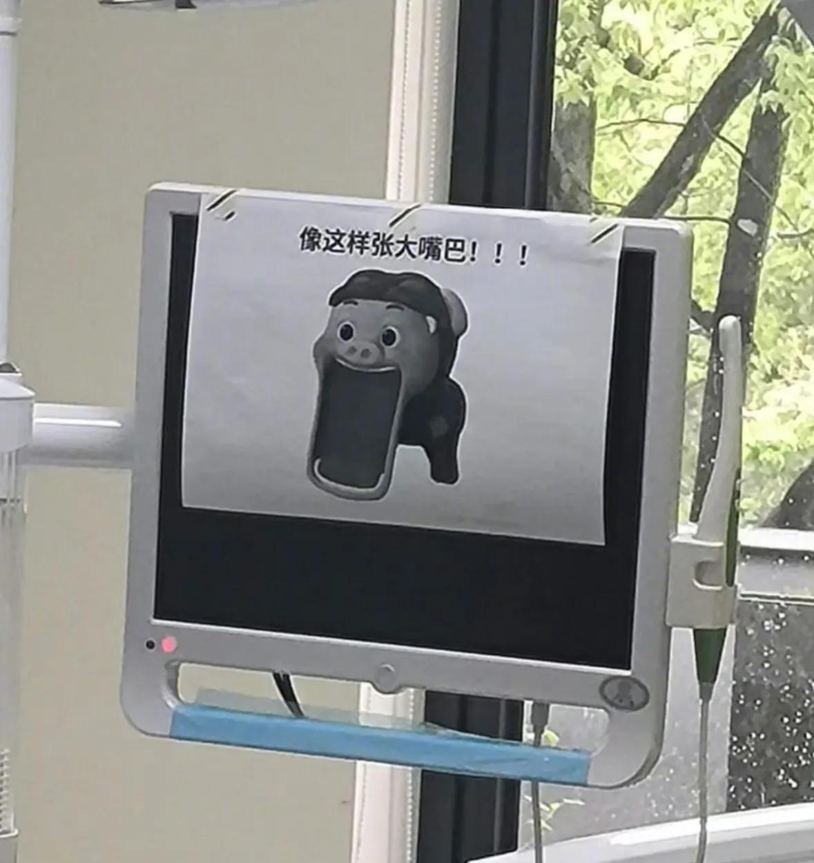 #寻找热爱表达的你#哈哈哈，猪猪侠业务范围这么广泛，要被笑死了。[捂脸][捂脸]