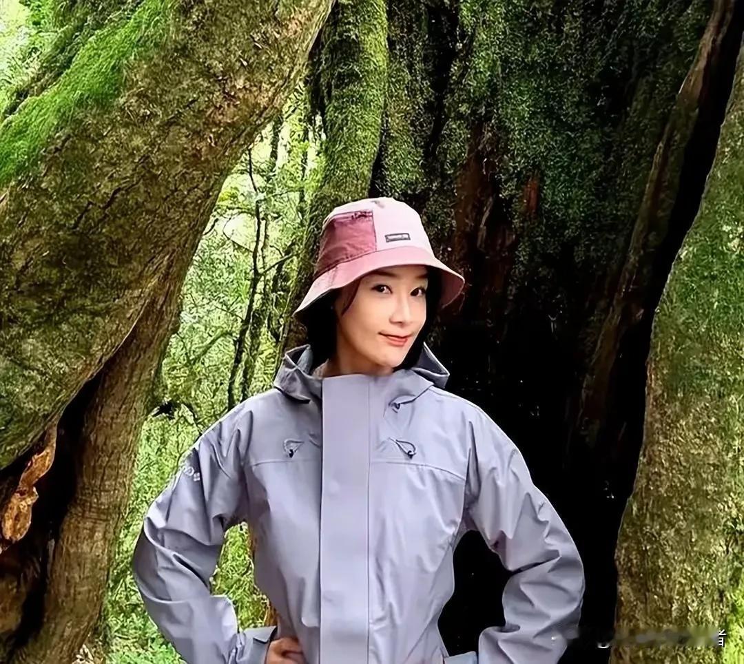 袁姗姗胆子太大了，竟然在哀牢山拍戏，其实不然，袁姗姗这个哀牢山可不是未开发的荒山