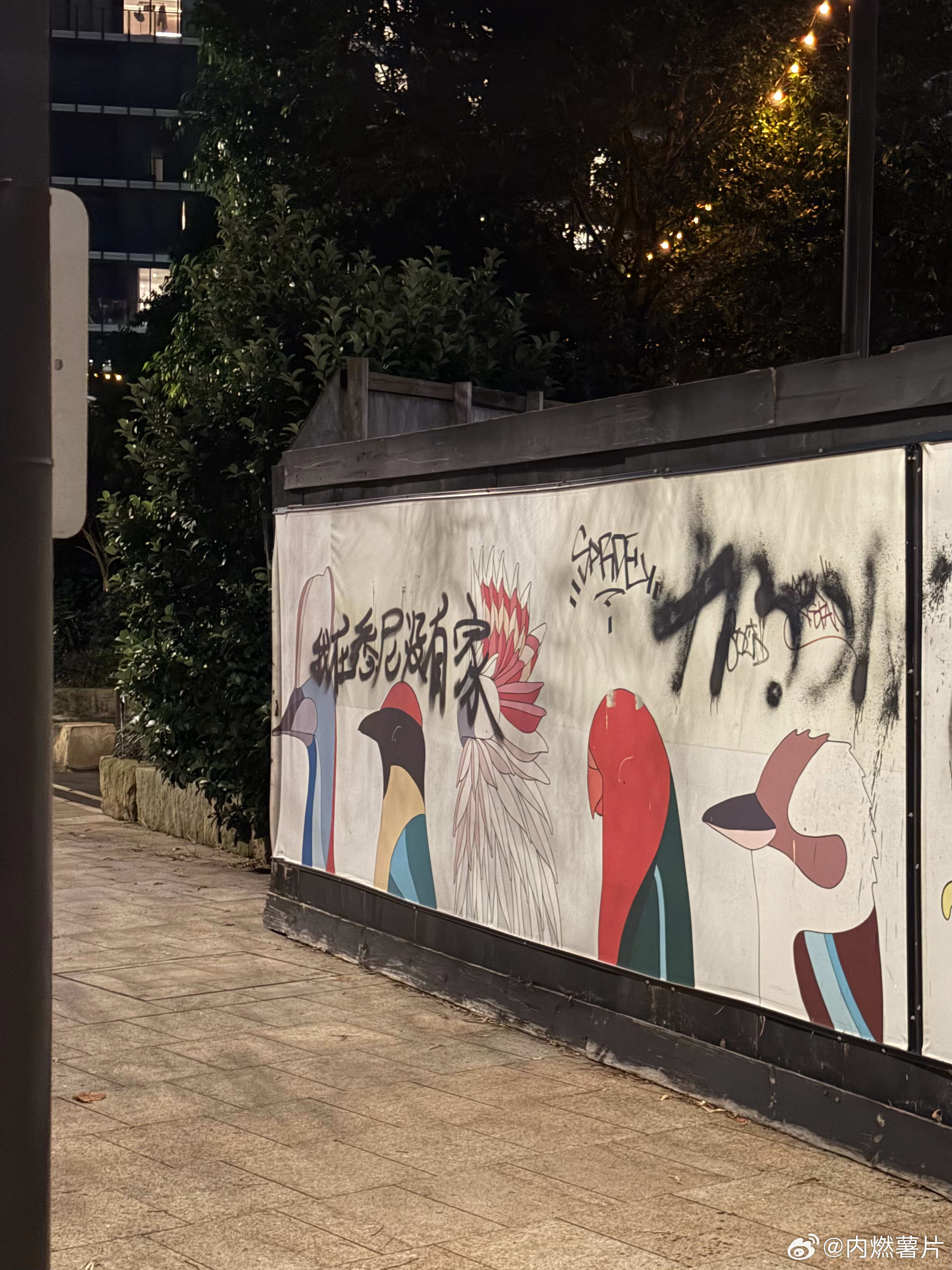 我在悉尼没有家