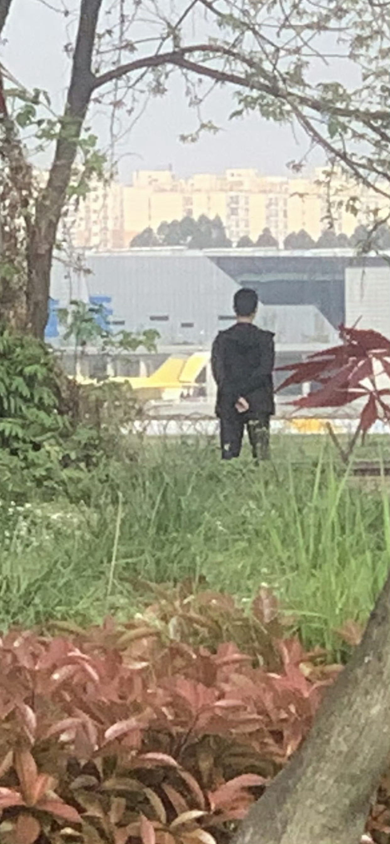 一个由必然王国到自由王国的中华崛起 