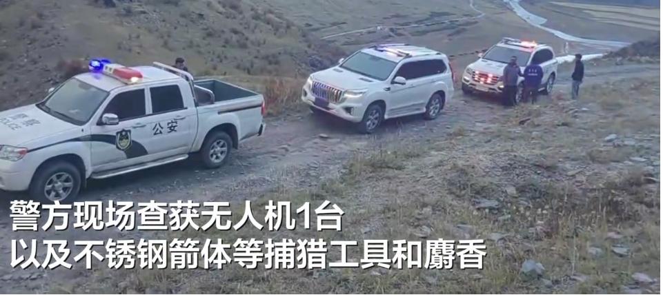 经查，该团伙5天猎杀了9只马麝，是要无人机作为捕猎工具，你说这些人真是有本事不用