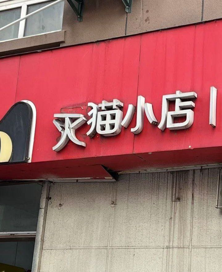 动漫嘉年华  我的2024年终总结  国漫点评团 [哆啦A梦吃惊] 