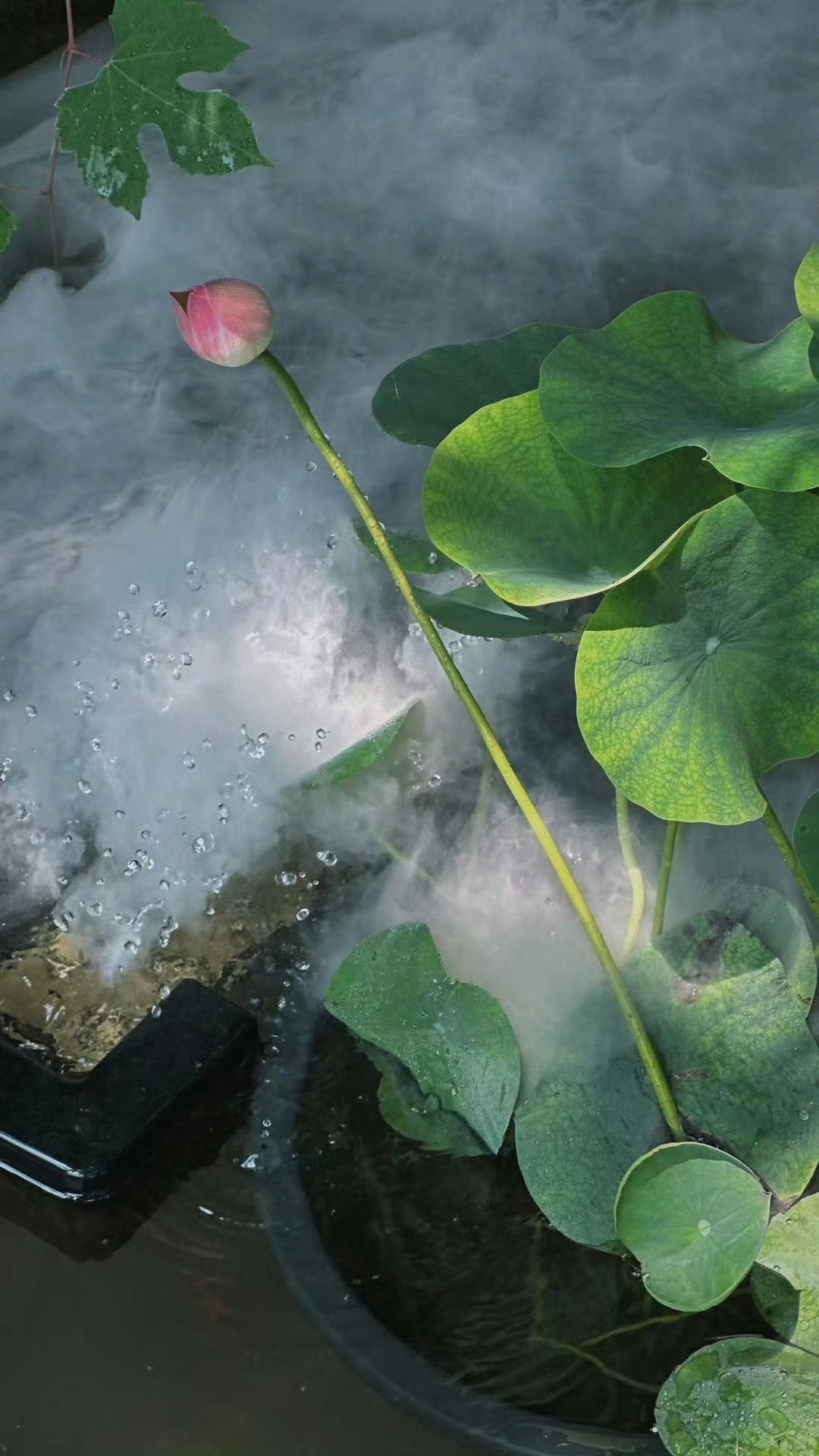 按照顺序，一件一件地用心去处理好眼前发生的问题，这才是你该做的事。只有这样做，你