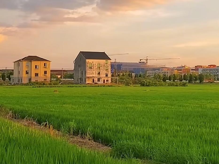 乡野的风吹进怀里，带着微醺的醉，还有空气的甜美。
稻田是柔美的格子，稻香里有草香