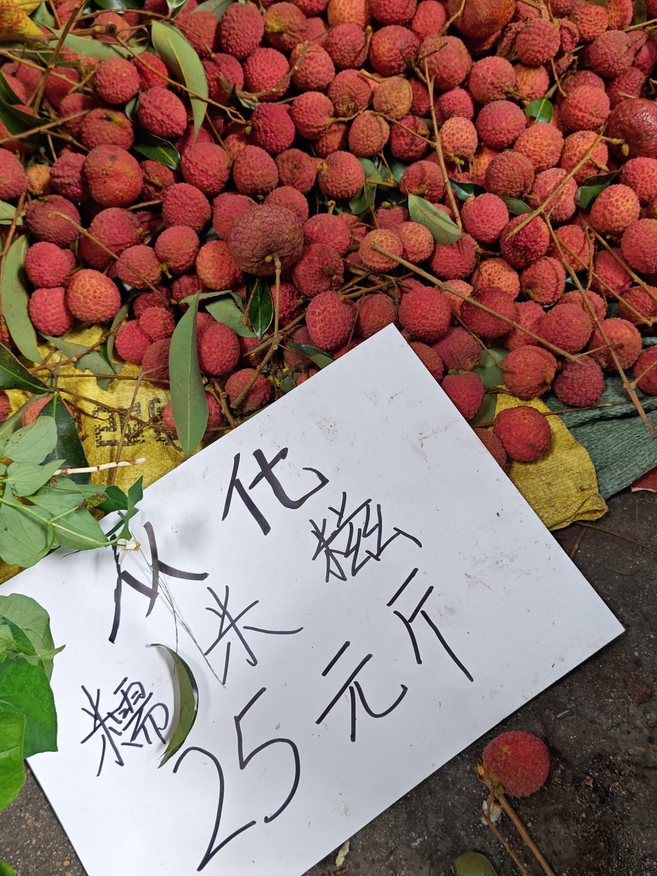 从化糯米糍荔枝25，不贵，就是果小了点

广州美食 荔枝