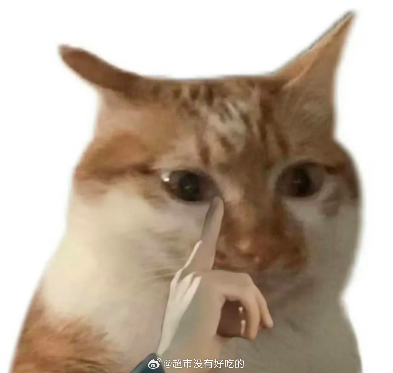 周杰伦专辑叫范特西的原因找到了范特西=饭特稀，小黄花对应渠县满城黄花网友：建议周