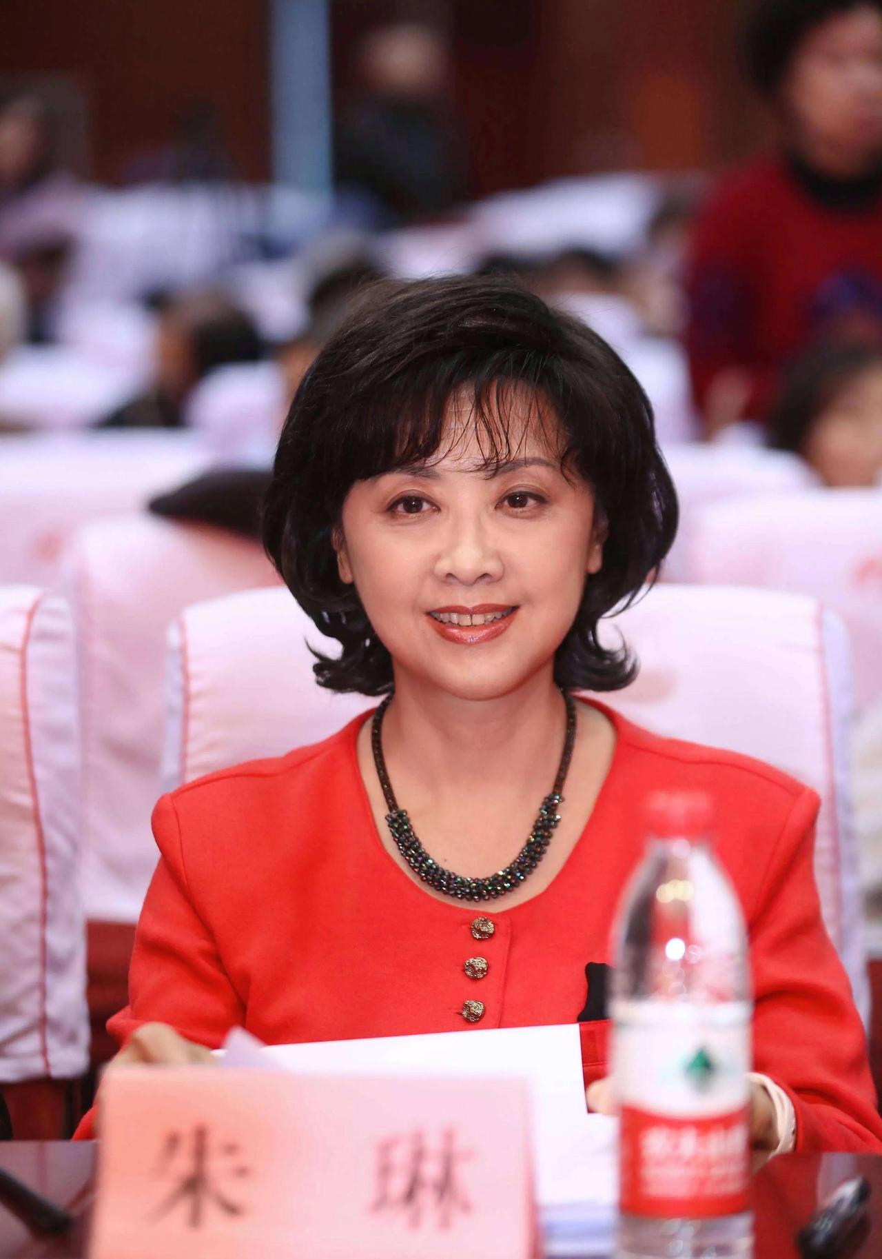 一代观众心中的“御弟哥哥”牵挂之人， 朱琳以女儿国国王一角封神。五官匀称气质温婉