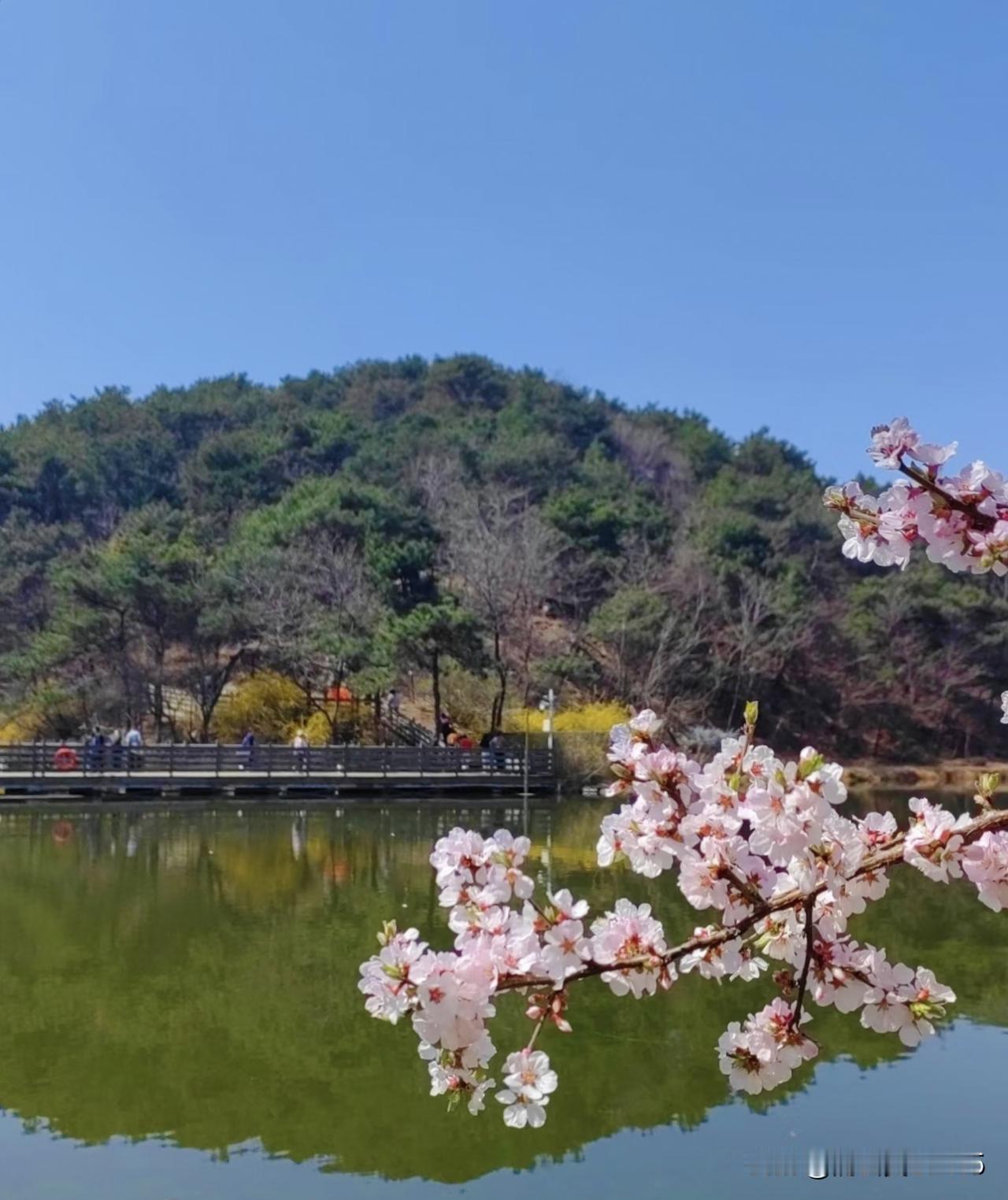 小区里有一位年轻的小伙子，刚大学毕业没多久，每天骑着一辆不起眼的代步车，去菜市场