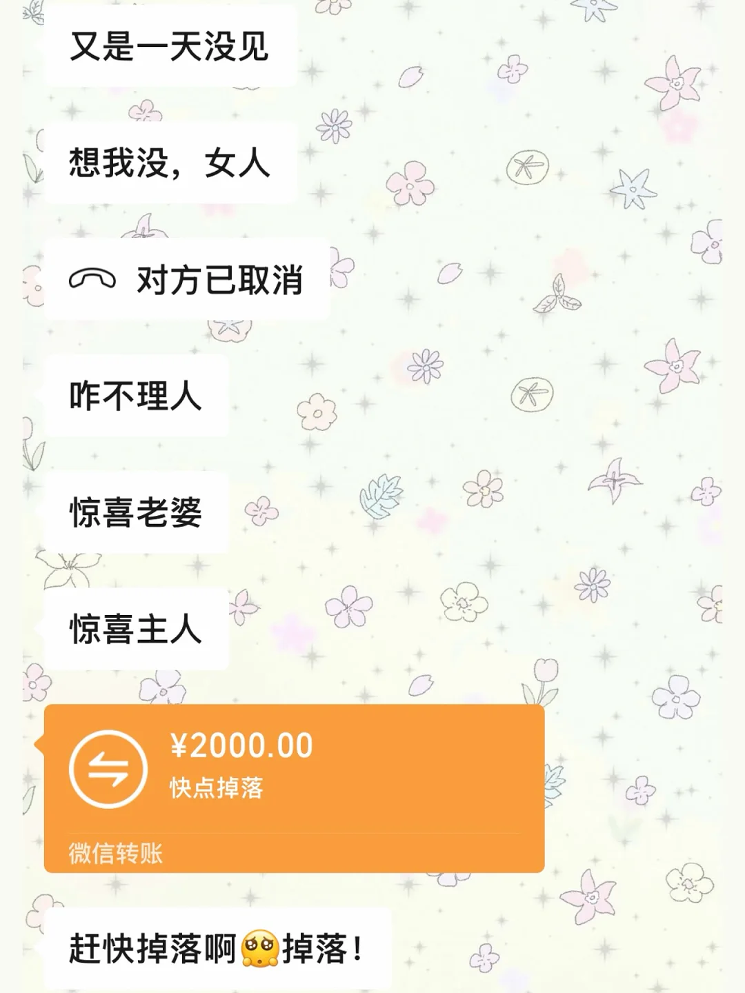 和土象小狗恋爱的第八年，没有老婆活不下去