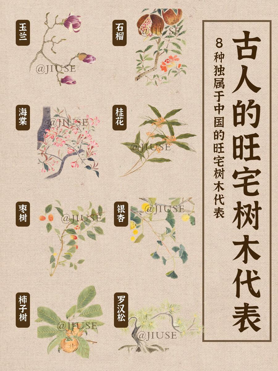 现代人们居住的庭院和小区人们根据古代传统忌讳种植槐树、柳树、桑树等等树种，那么你