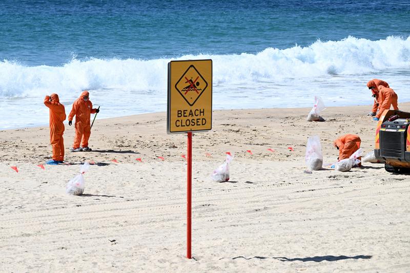 12月14日，澳大利亚悉尼一个知名海滩发生了恐怖的枪击事件。一对年迈的犹太夫妇太