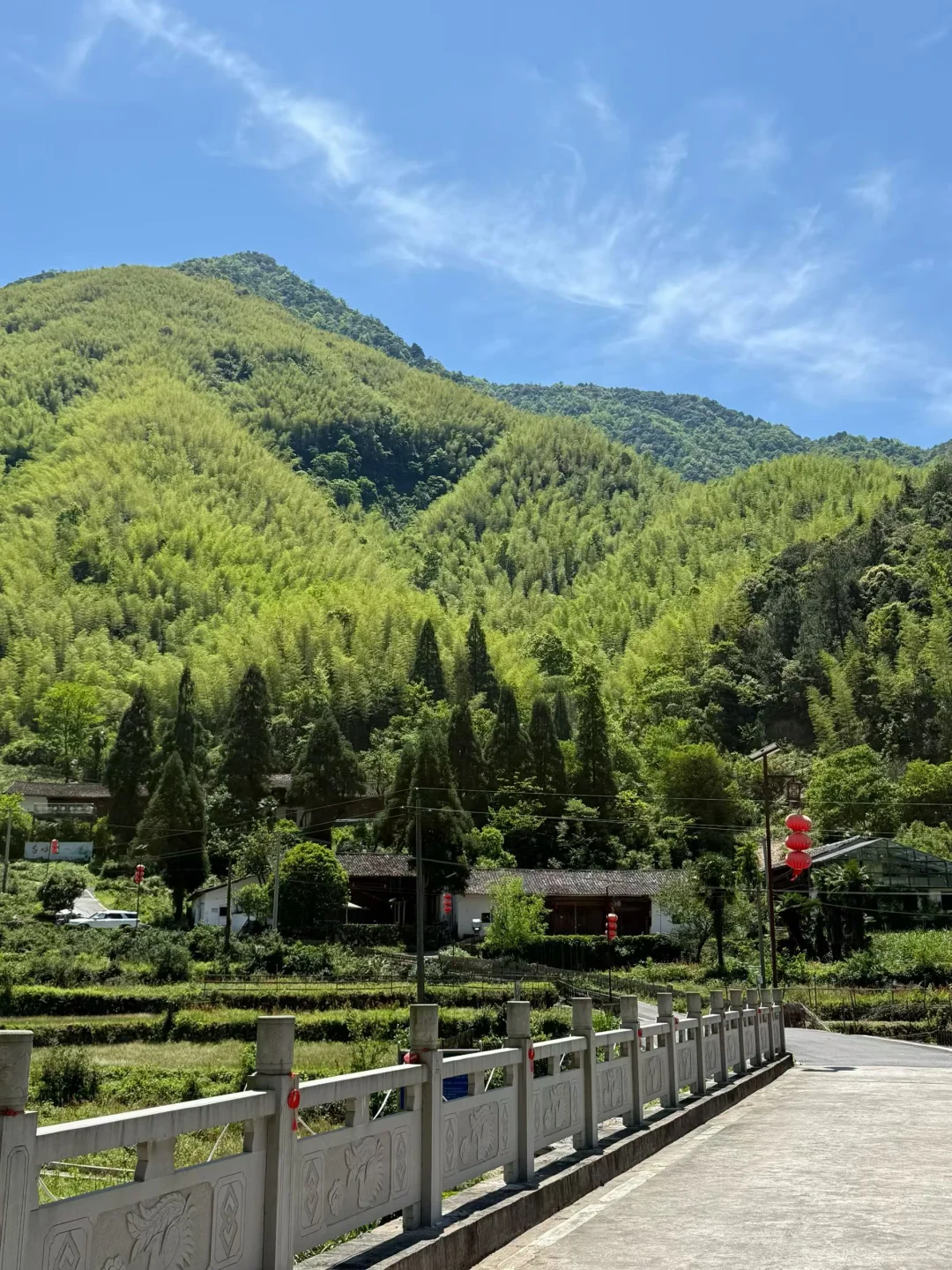 八月下旬楷书快写师训交流会，想来的扫码进入。授课老师都是一线教学的佼佼...