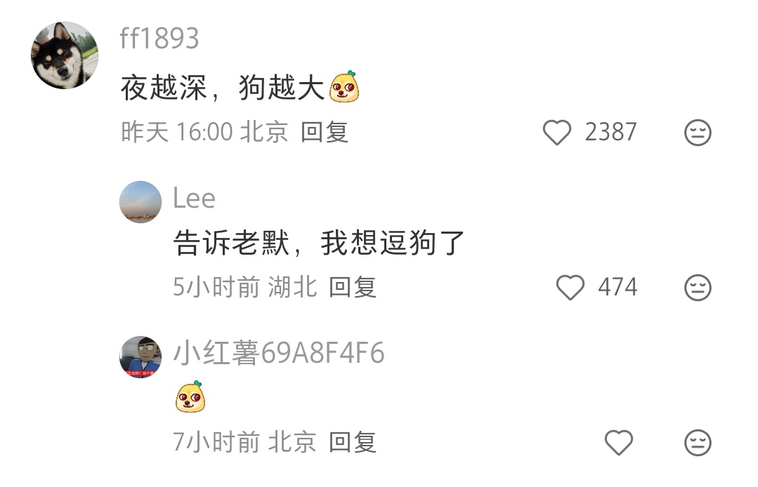 遛狗人，能早起能晚睡，刮风下雨下雪下刀子都能出门