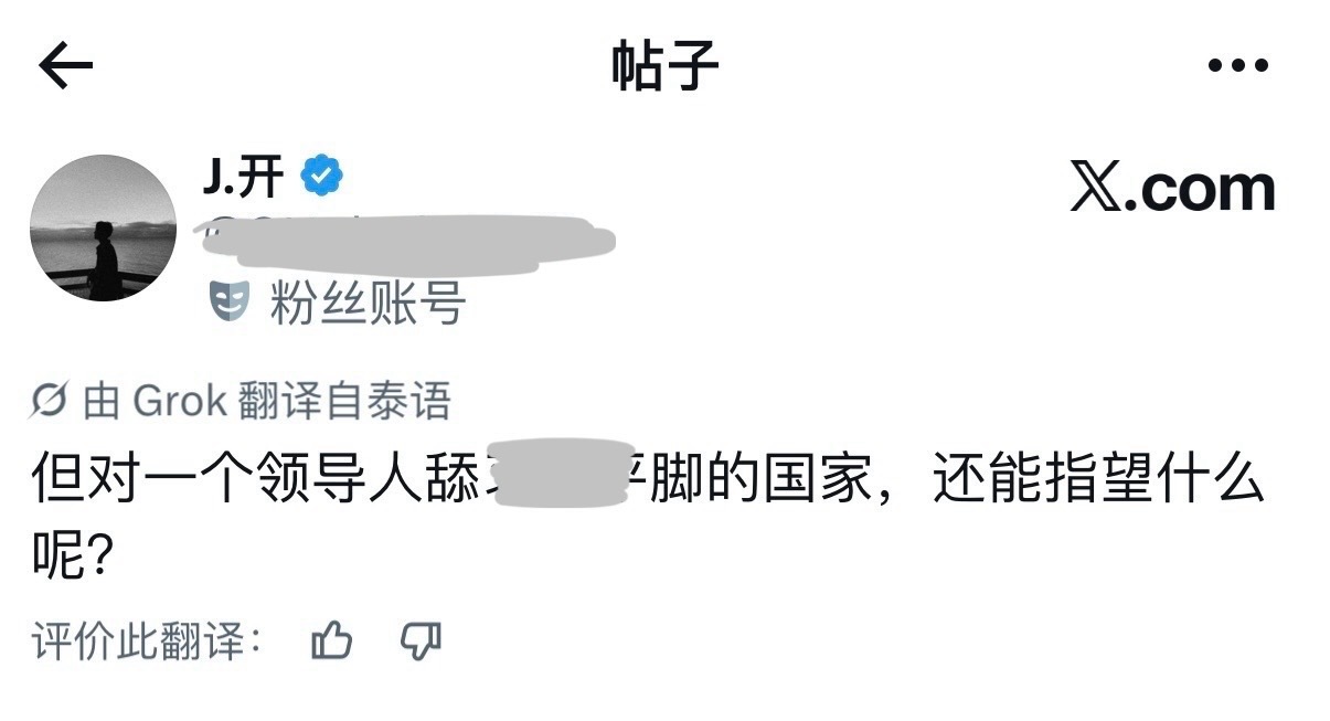 刷到这条自动翻译的推文直接一秒清醒下巴脱臼笑出猪叫。。。 